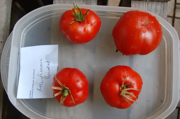 Tomaten: Mushroom Basket