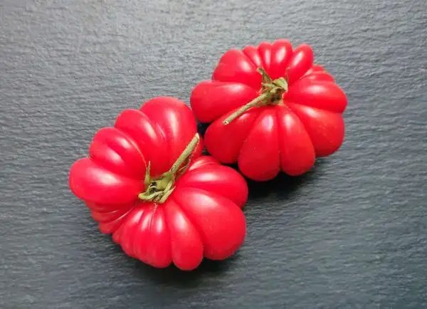 Tomaten: Mushroom Basket