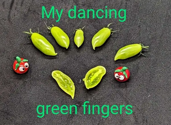 Tomaten: My Dancing Green Fingers