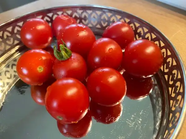 Tomaten: Myriam Multiflora