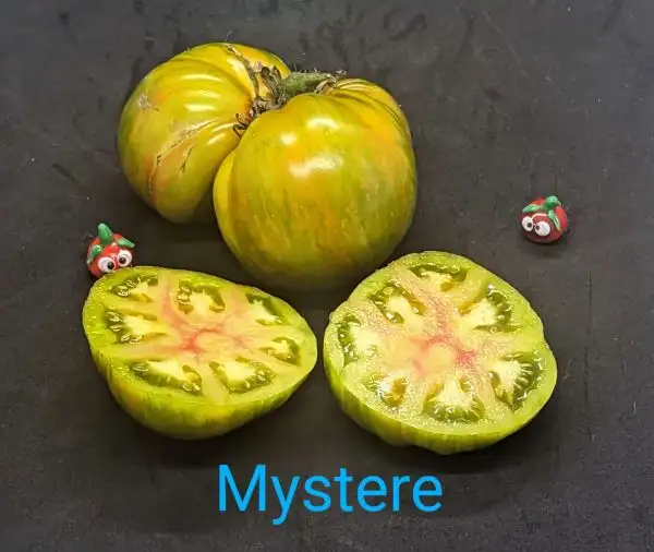 Tomaten: Mystere