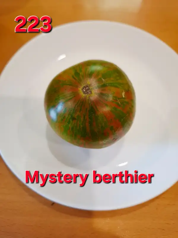 Tomaten: Mystery Berthier