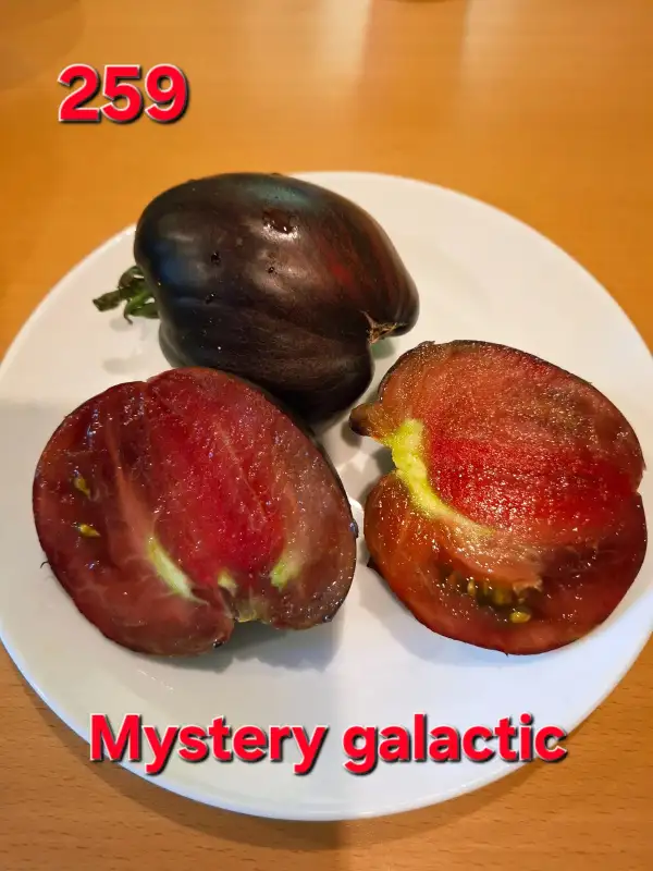 Tomaten: Mystery galactic