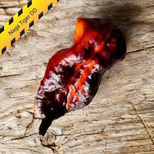 Chili: Naga Tiger DD