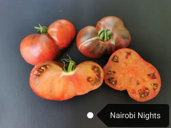 Tomaten: Nairobi Nights