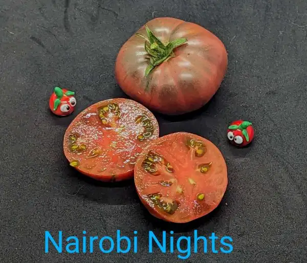 Tomaten: Nairobi Nights