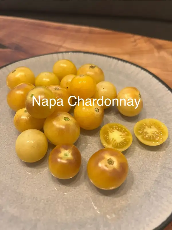 Tomaten: Napa Chardonnay