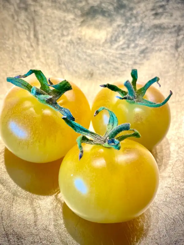 Tomaten: Napa Chardonnay