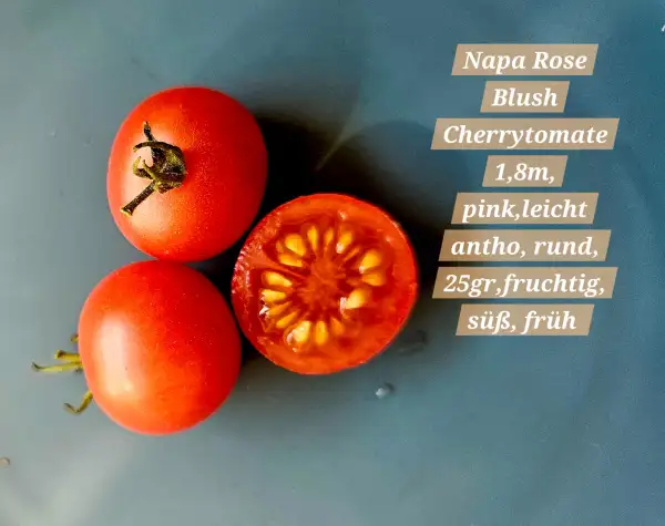 Tomaten: Napa Rose Blush