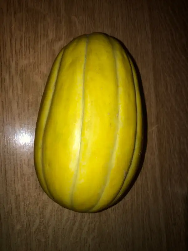 Obst: Navajo Yellow melone