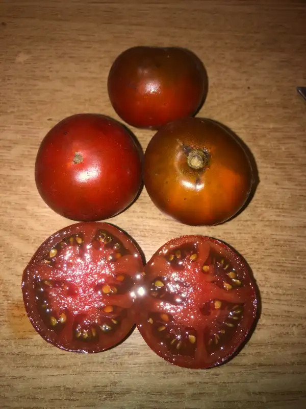 Tomaten: Nefertiti