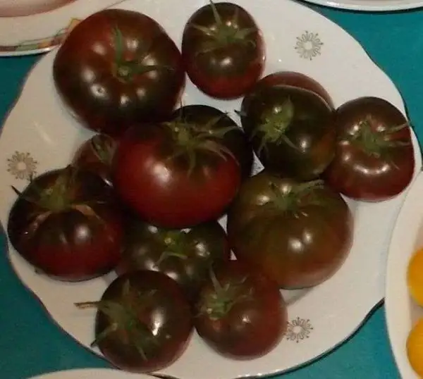 Tomaten: Negertomate