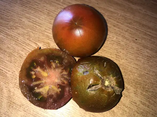 Tomaten: Negritjonok