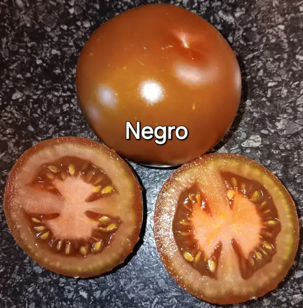 Tomaten: Negro