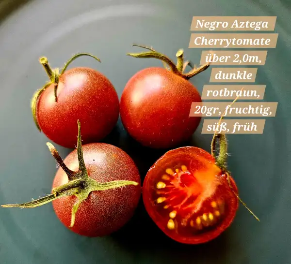 Tomaten: Negro Azteca