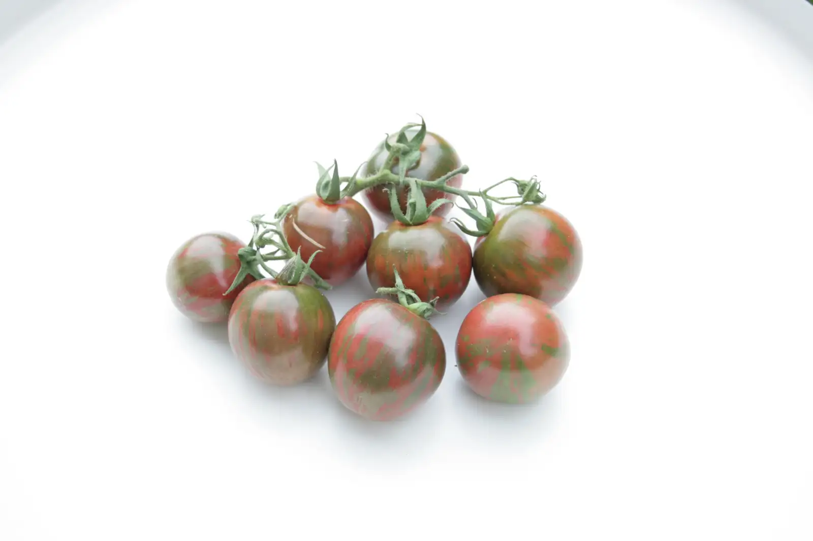 Tomaten: Negro Azteca