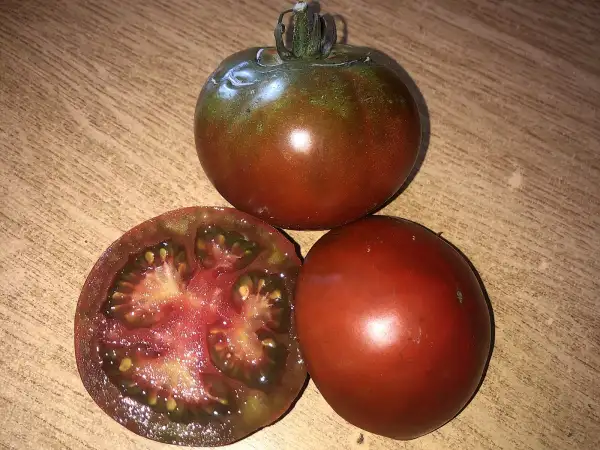 Tomaten: Negro de Monte