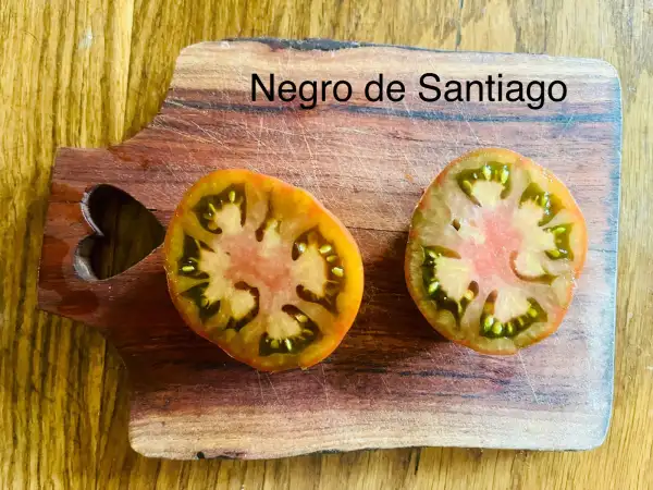 Tomaten: Negro de Santiago