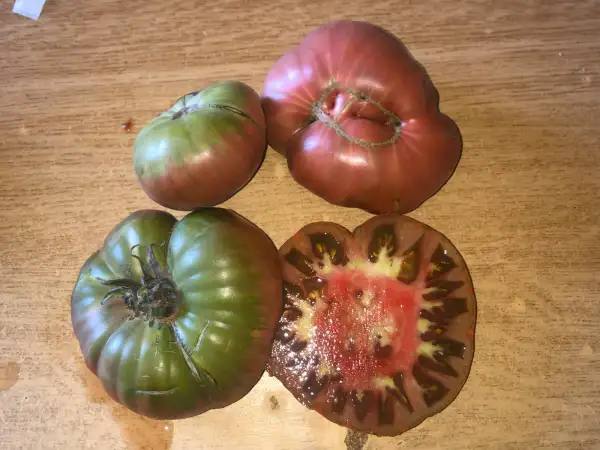 Tomaten: Negro Liso de Moratalla