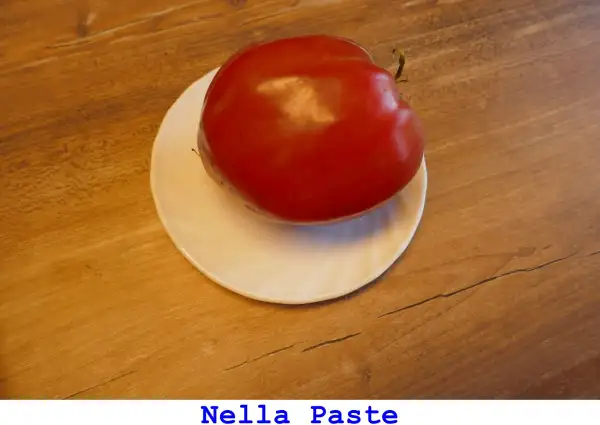 Tomaten: Nella Paste