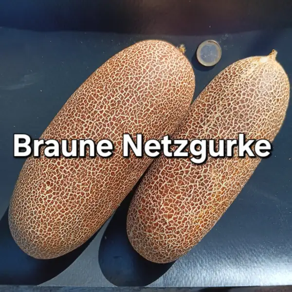 Gurken: Netzgurke
