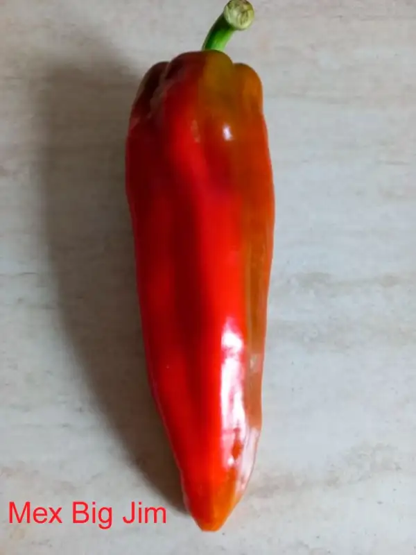 Chili / Paprika: New Mex Big Jim