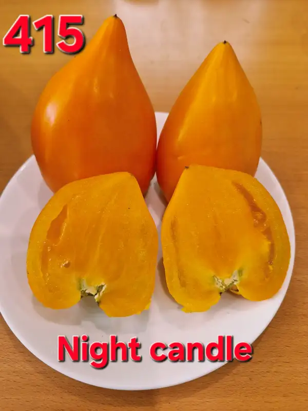Tomaten: Night candle