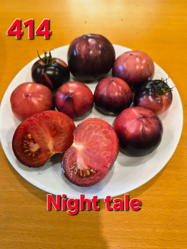 Tomaten: Night tale