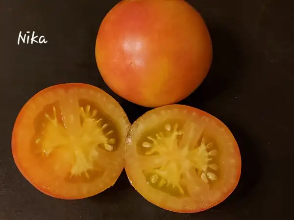 Tomaten: Nika