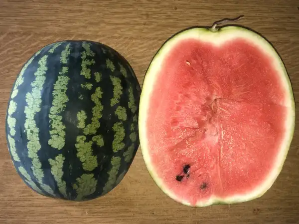 Melonen: Nikopol wassermelone