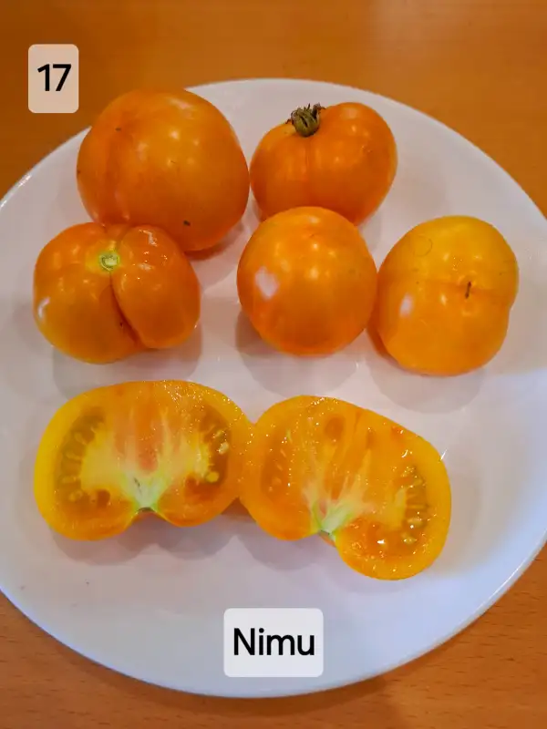 Tomaten: Nimu