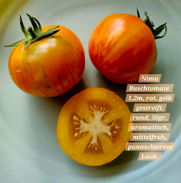 Tomaten: Nimu