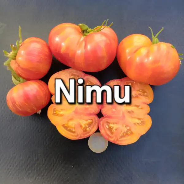 Tomaten: Nimu