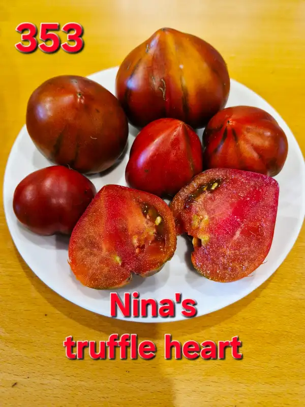 Tomaten: Nina