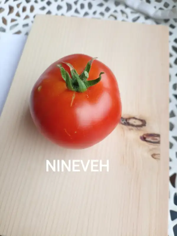 Tomaten: Nineveh