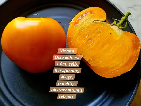 Tomaten: Nizami