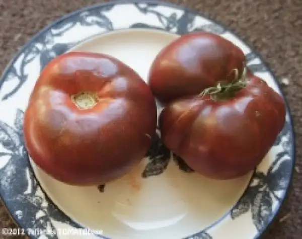 Tomaten: Noir de Crimee