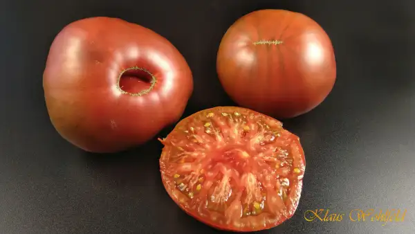 Tomaten: Noire de crimee