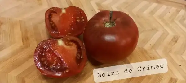 Tomaten: Noire de crimee