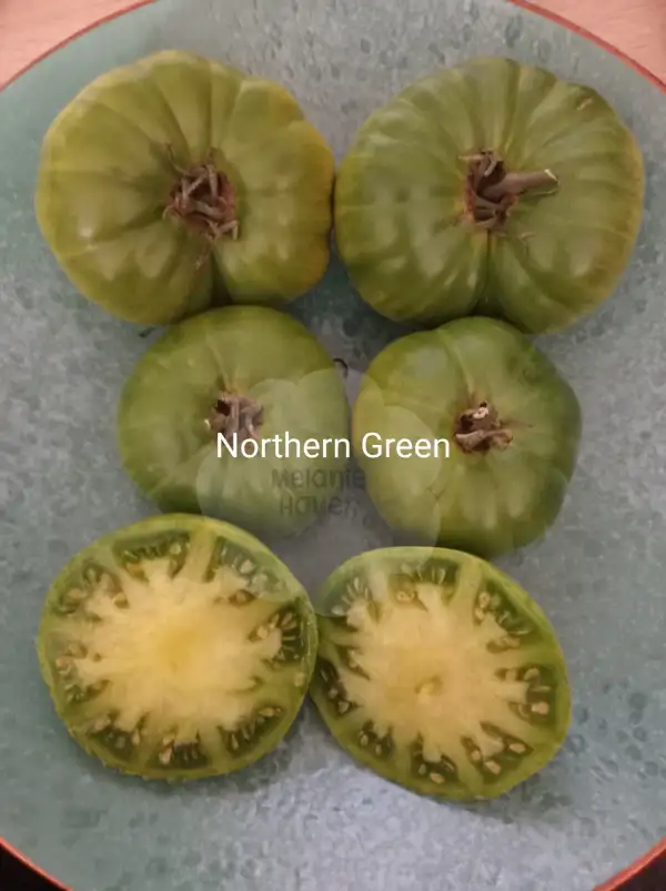 Tomaten: Northern Green