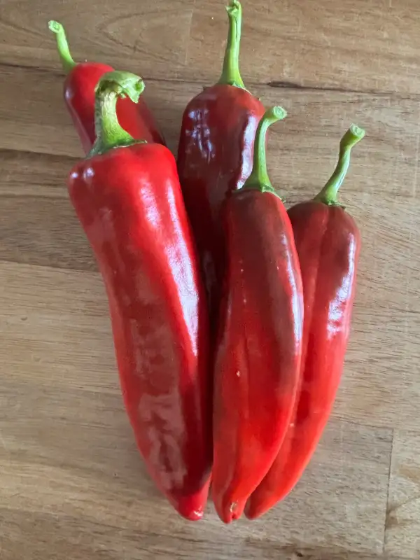 Chili / Paprika: Nu-Mex-Heritage 6-4 - Schärfe 3