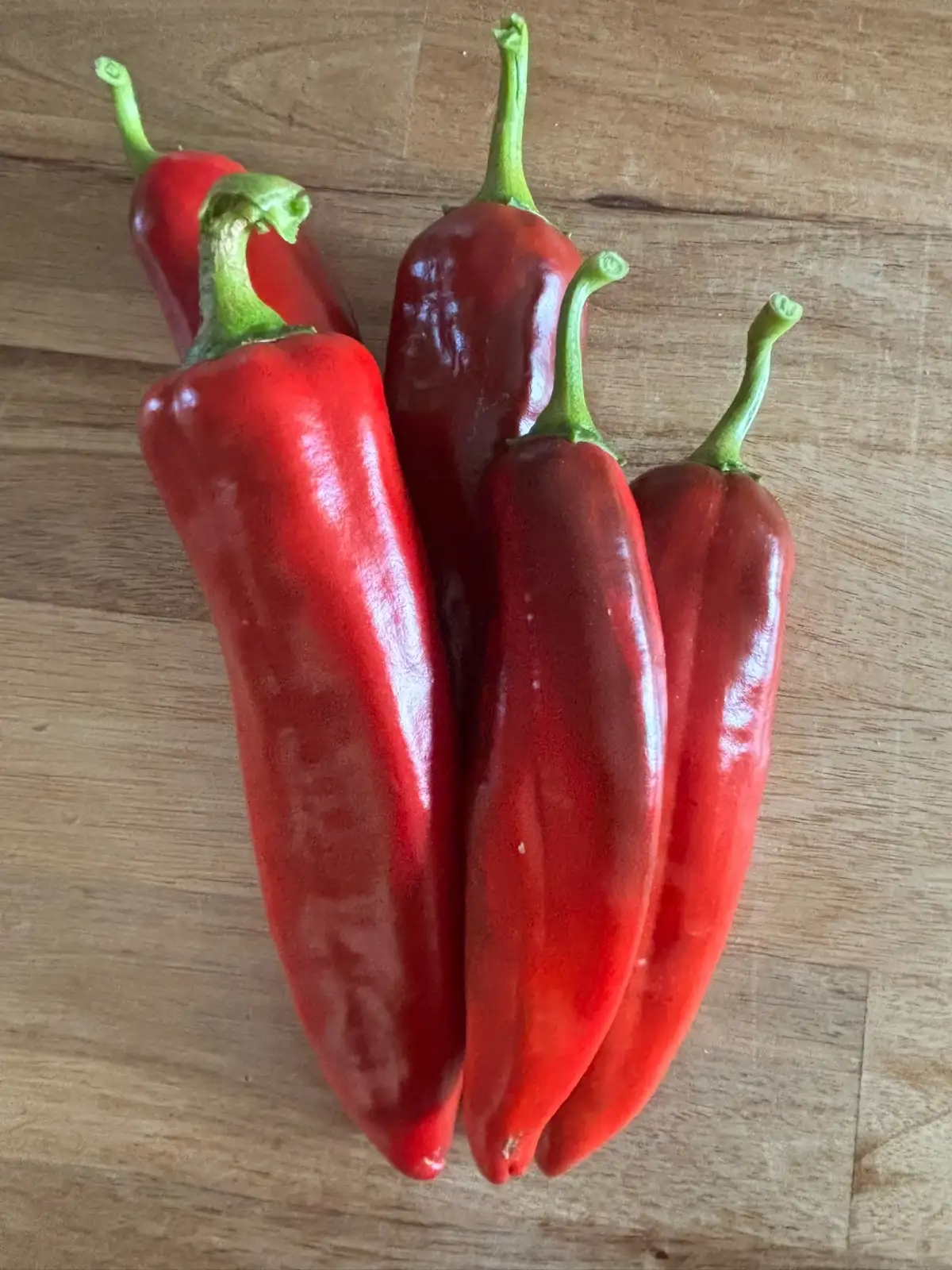 Chili / Paprika: Nu-Mex-Heritage 6-4 - Schärfe 3