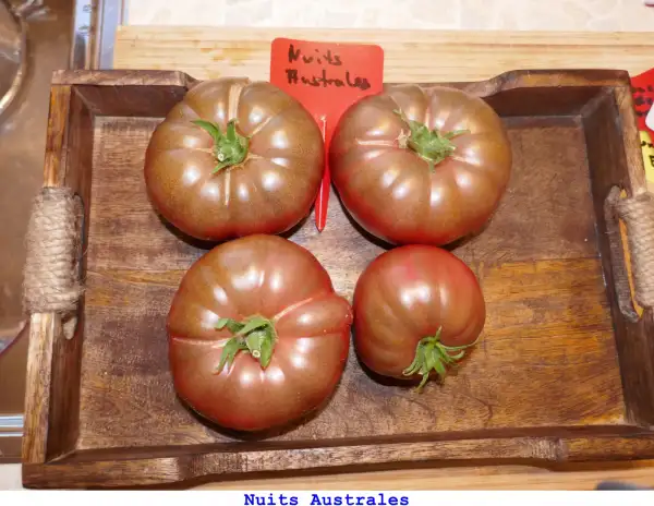 Tomaten: Nuits Australes