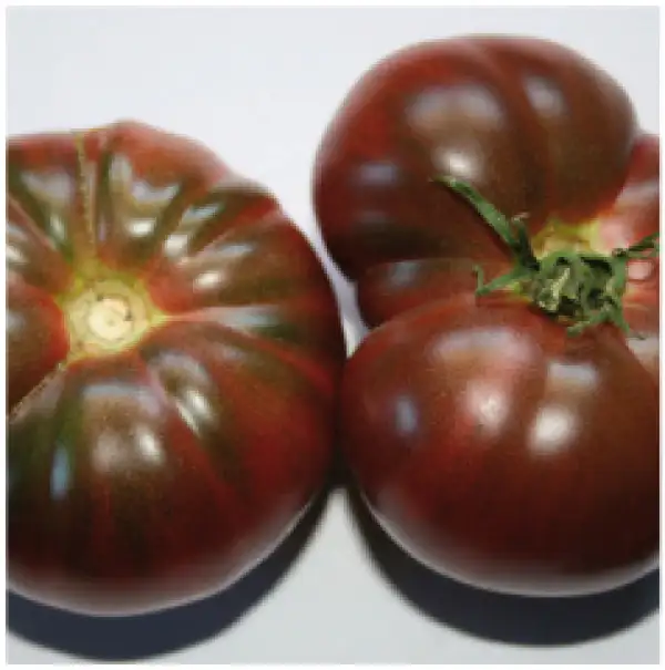 Tomaten: Nuits Australes