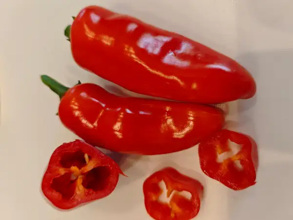 Chili / Paprika: Numex Pumpkin Spice