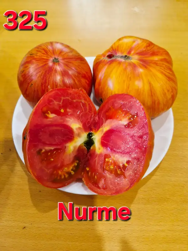 Tomaten: Nurme