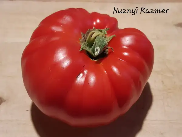 Tomaten: Nuznyi Razmer