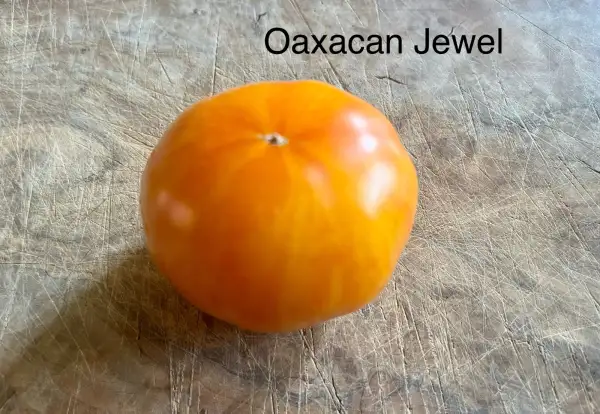 Tomaten: Oaxacan Jewel