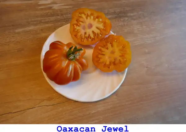 Tomaten: Oaxacan Jewel