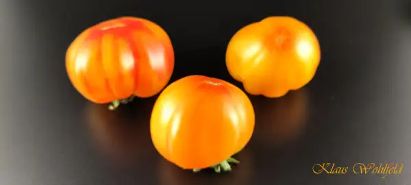 Tomaten: Oaxacan Jewel